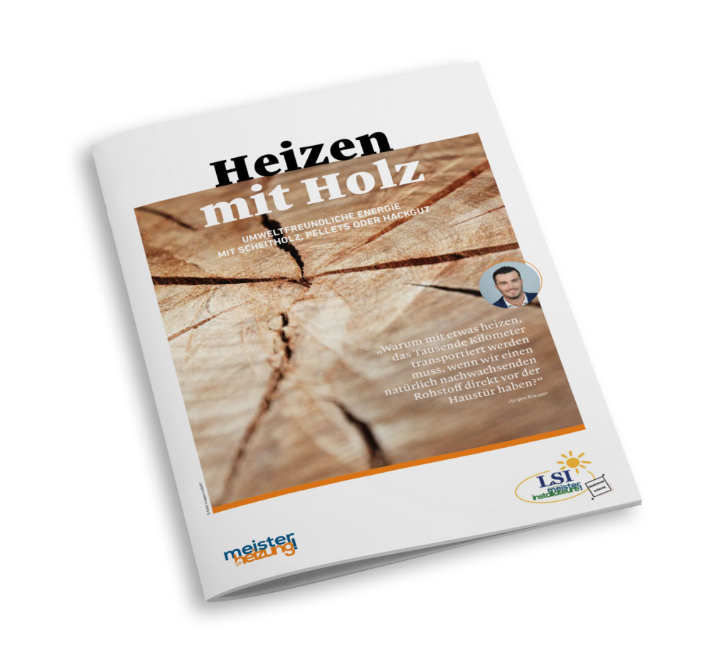 Informationsbroschüre zum Thema Heizen mit Holz und Pellets zum Downloaden