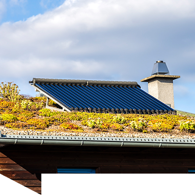Module einer Solaranlage auf einem begrünten Dach.